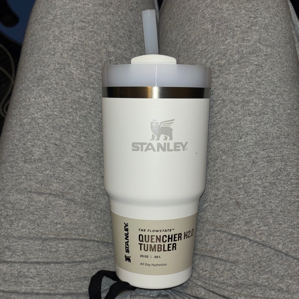 Stanley Quencher H2.0 Tumbler in White and Silver